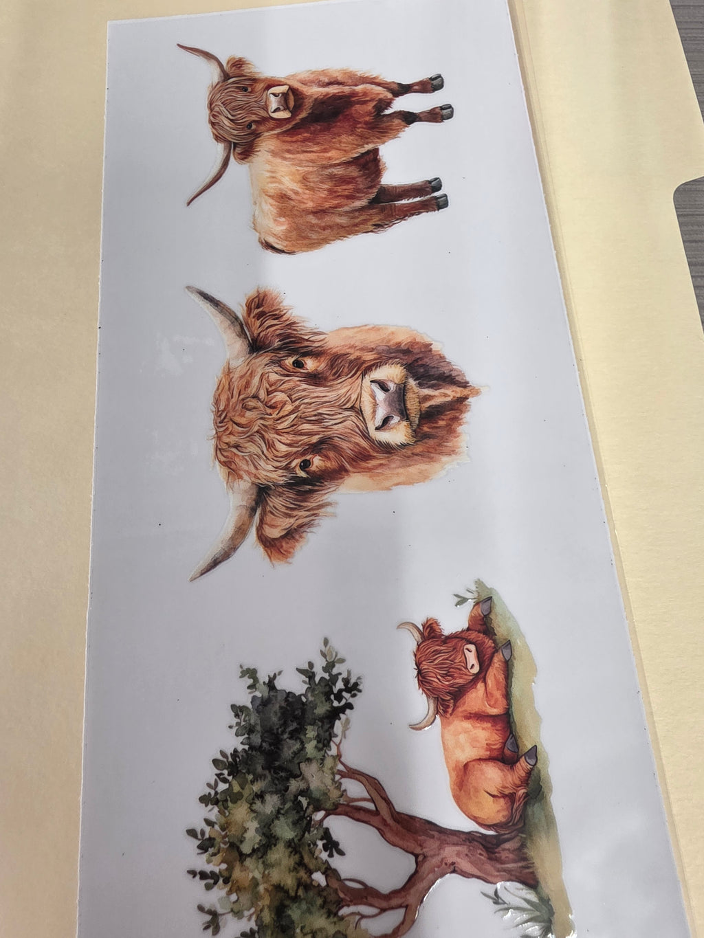 Tumbler wraps
